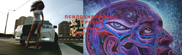 гидропоника Алзамай