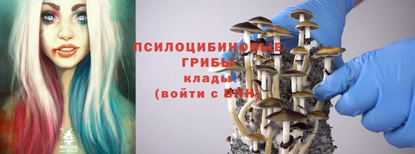 ALPHA-PVP Надым