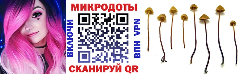 где купить наркоту  Обнинск  Галлюциногенные грибы Psilocybine cubensis 