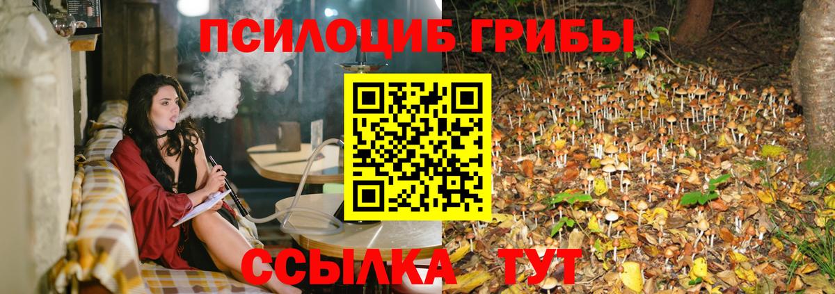 Обнинск  Галлюциногенные грибы мухоморы  Вход с VPN 